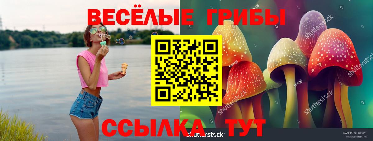Псилоцибиновые грибы мицелий  Вход с VPN  Псилоцибиновые грибы GOLDEN TEACHER  Мыски 